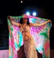 マンディール浜松町 4